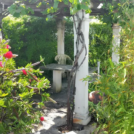 Charming In Igreja Nova Do Sobral With Private Pool *